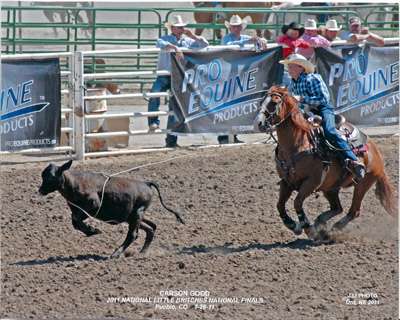 Carson Good breakaway roping