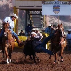 Marshall Allen sale horse success story New Mexico