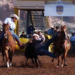 Marshall Allen dogging on a gelding purchase from Goods Performance Horses