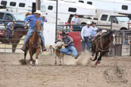 19 year old bulldogging gelding for sale by Goods Performance Horses