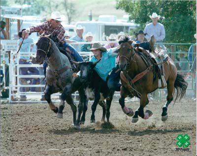 Tyler Gaer placing on a horse purchased from Good's Performance Horses